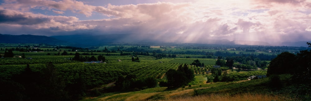 This is near the Hood River It is a green valley with houses and farms scattered throughout The sun is projecting god rays down over the valley through the white clouds Canvas Art - Panoramic Images (