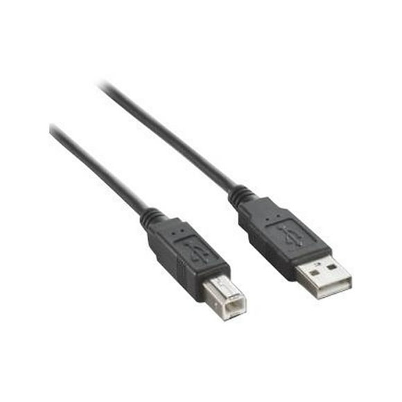 Dynex DX-C114195 - Câble USB - USB (m) vers USB Type B (m) - USB 2.0 - 10 Pieds