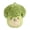 C#003, variant on Four vegetable themes Mini Vegetable Plush Toys,Pop Out Bubble Stuffed Vegetable Plushies,Soft Plush Toys Cute Kids Toys & Toddler Toys,Birthday Gift for Children,3.9×3.9×3.1in.(tomato)