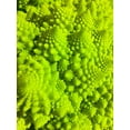 thumbnail image 2 of Grayscale 19x24 Gold Ornate Wood Framed with Double Matting Museum Art Print Titled - Natural Fractals IV, 2 of 4