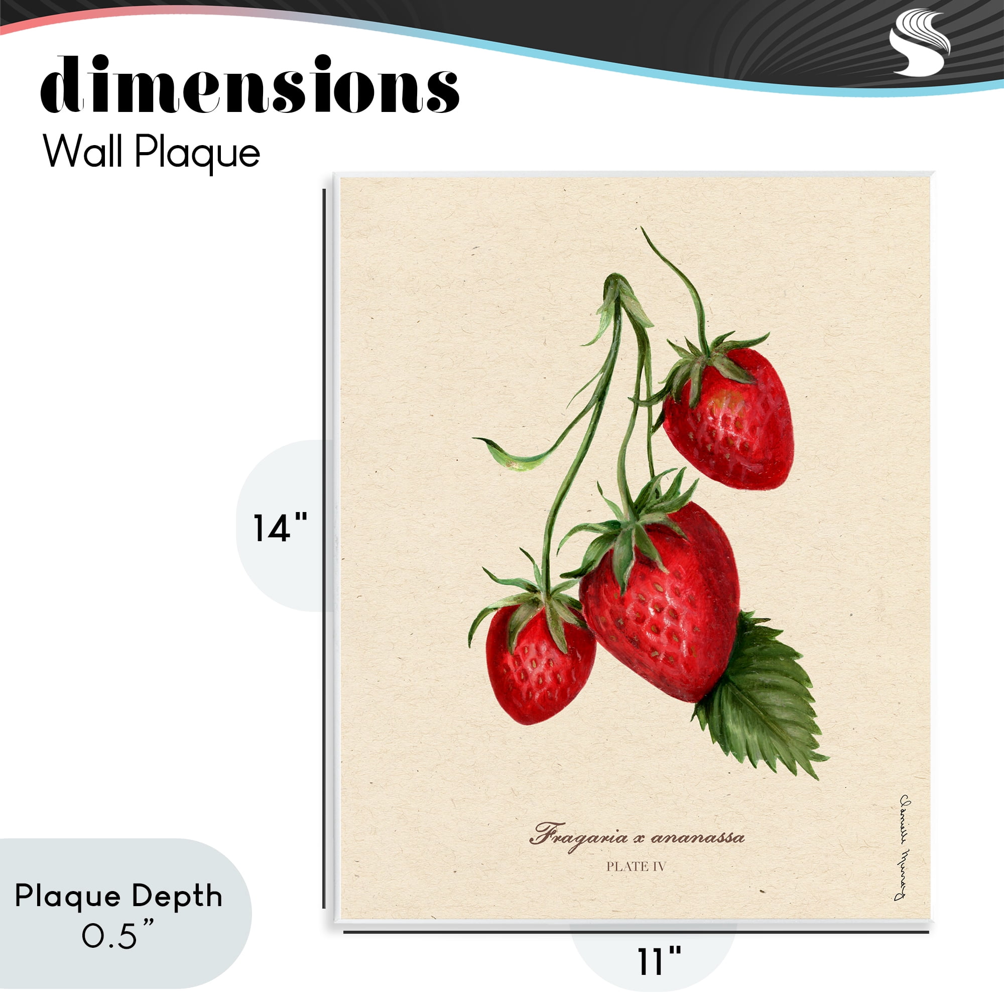 Stupell Industries Strawberry Fruit Portrait Wall Plaque Art, design by Danielle Murray