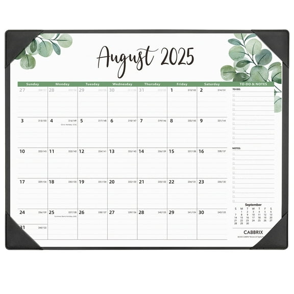 Cabbrix Desk Calendar 2025-2026 with Desk Mat, Large Desktop Calendar 22 x 17 Inch