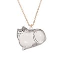 thumbnail image 1 of CTDWNT Collier Souvenir en Fourrure de Chat, Pendentif Capsule Commémoratif de Poils d'Animaux avec Rangement Visible, Cadeau de Collection Unique pour Amateur de Chats, PVC et Alliage, Chaîne de 17,55 Pouces, 1 of 8