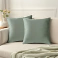 thumbnail image 1 of REGALWOVEN Paquete de 2 fundas de almohadas decorativas de terciopelo modernas con cremallera gris 18" x 18", 1 of 6