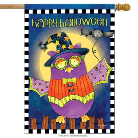 Halloween Owl Primitive House Flag Holiday Costume 28