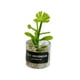 thumbnail image 5 of Bonsái en maceta para casa de muñecas, modelado de adornos verdes, mini juguetes para casa de muñecas, estilo H, 5 of 9