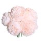 thumbnail image 1 of Worallymy 5 cabezas hoja viva flor de peonía Artificial simulación de ramo de novia jardín hogar flor falsa romántica Worallymy JD735815529, 1 of 7