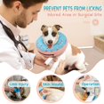thumbnail image 2 of Miaocao Supet Inflatable Dog Cone Collar Alternative After Surgery, Doggie Neck Donut Collar Recovery ECollar for Post Surgery, Soft Dog Cone for Small Medium Puppies Cats, 2 of 6