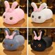thumbnail image 4 of 25cm Cute Soft Cat Plush Toy Sofa Pillow Cushion Kawaii Rabbit Cartoon Animal Doll Children's Baby Girl Cute Christmas Gift, 4 of 5