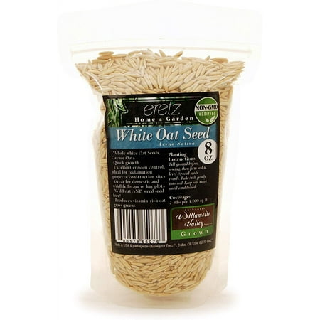 White Oat Seed by Eretz 8oz - CHOOSE SIZE! Oregon Grown, State Certified Oat Grains- No Fillers, No Coatings, No Weed Seeds.