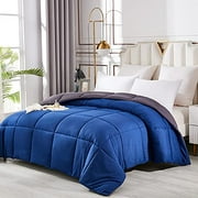 All Seasons Down Alternative Comforter Ultra Soft-Twin/Blue