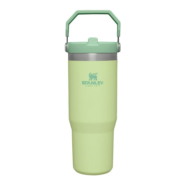 Stanley IceFlow Stainless Steel Tumbler Vacuum Insulated Water Bottle for Home, Office or Car Reusable Cup with Straw Leak Resistant Flip Cold for 12 Hours or Iced for 2 Days, Citron, 3