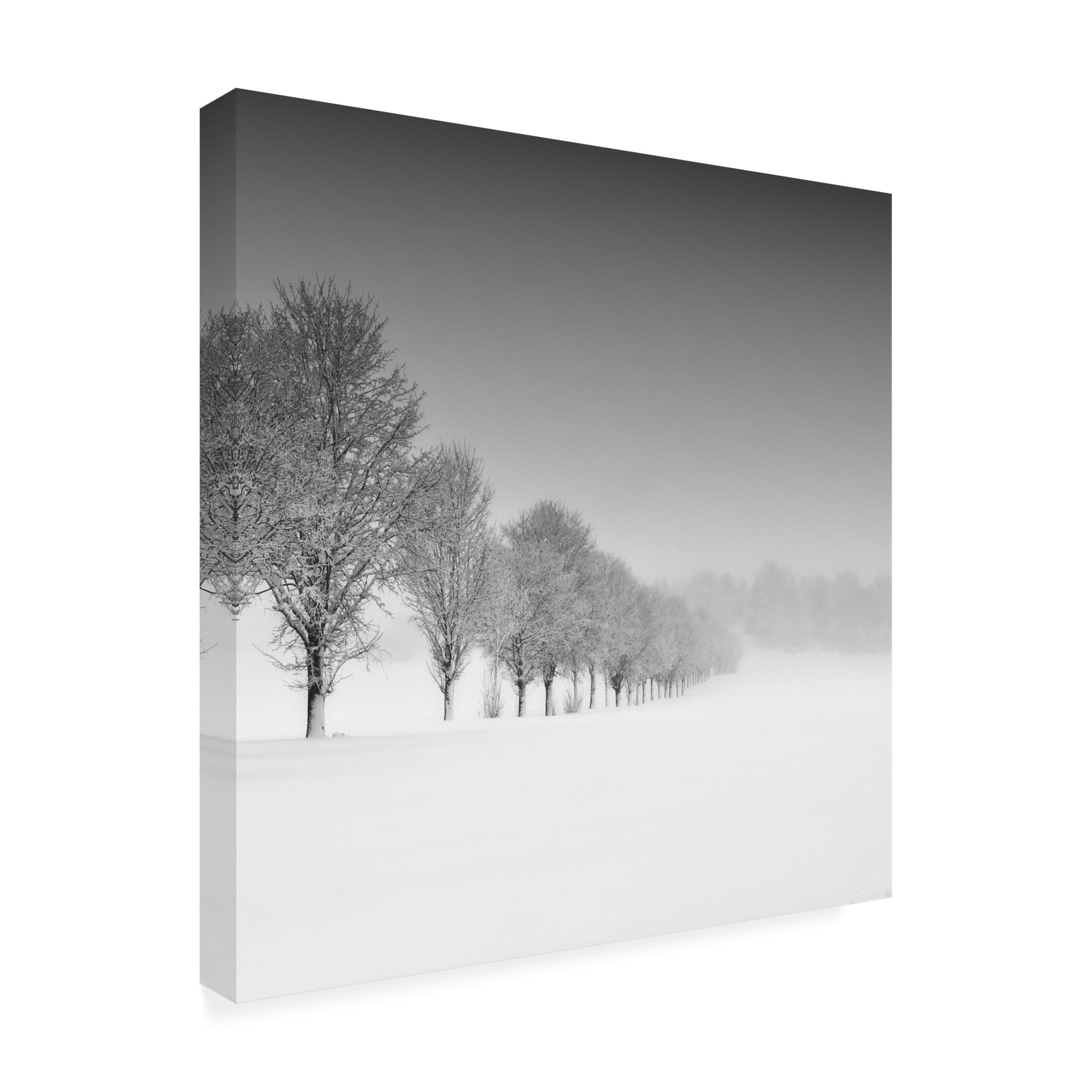 Canvas Wall Art - Alexej Schulz 'Formation' Wall Art for Living Room, Bedroom, or Office D?cor by Trademark Fine Art - 35 x 35 Inches