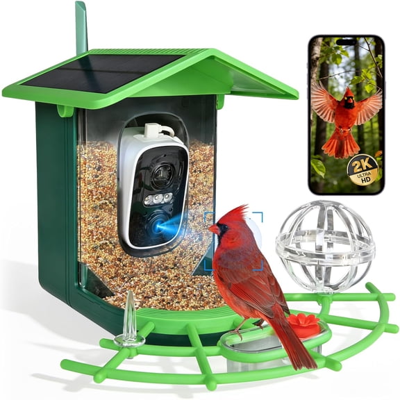BN-LINK Bird Feeder with Camera,Smart Bird Feeder, 2K HD AI Identify Birds Species, Outdoor Bird Feeder with 3W Solar Panel, 1.5L Capacity,Green