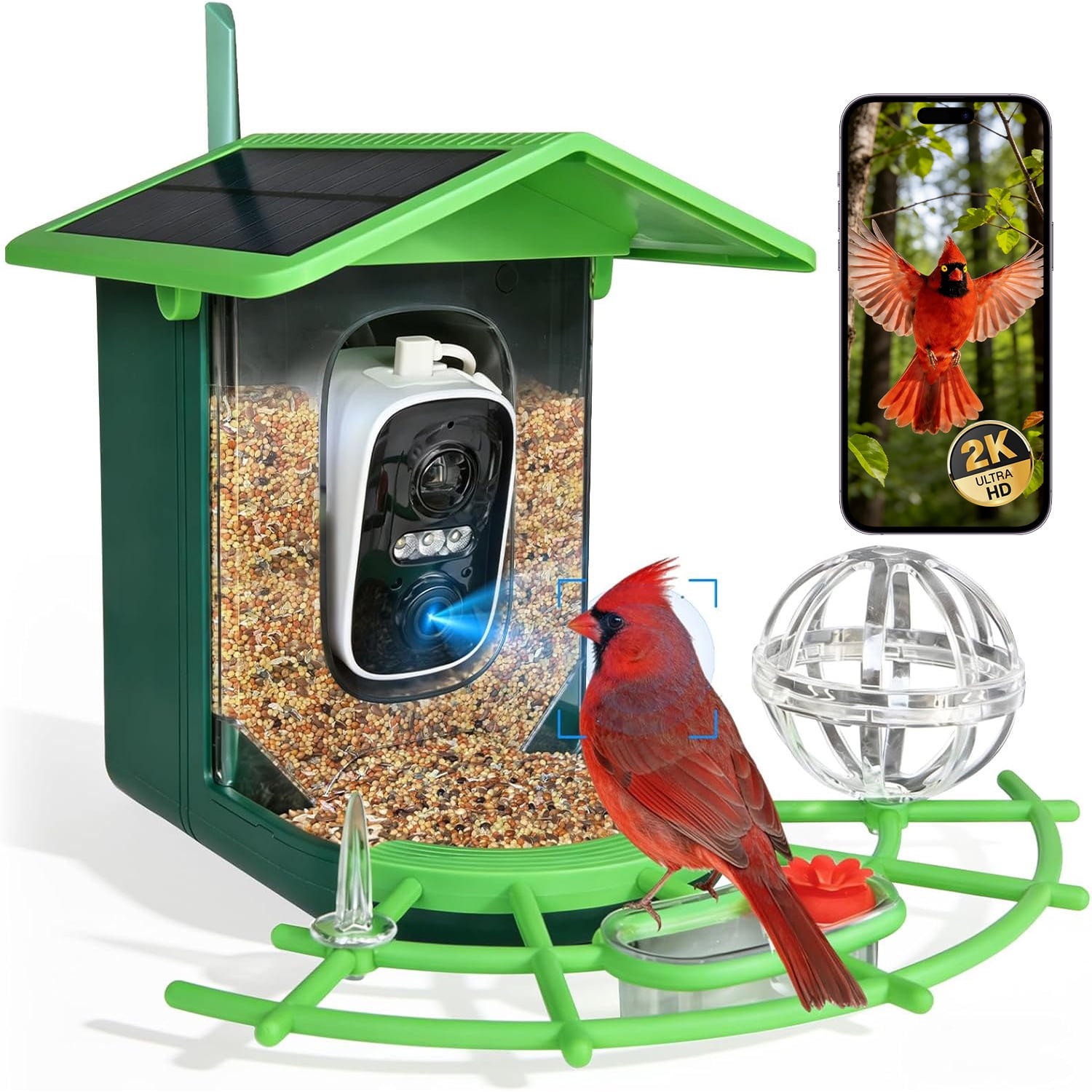 BN-LINK Bird Feeder with Camera,Smart Bird Feeder, 2K HD AI Identify Birds Species, Outdoor Bird Feeder with 3W Solar Panel, 1.5L Capacity,Green