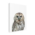 thumbnail image 2 of Trademark Fine Art 'Owl Portrait' Canvas Art by Lexie Gree, 2 of 3