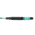 thumbnail image 2 of Plenum 12 Strand MTP/PC Fiber Optic Cable, Type B, Female, OM4 50/125 Multimode, aqua Jacket & Connector, 40/100 Gbps, 3 meter (9.84 foot), 2 of 4