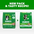 thumbnail image 4 of IAMS Proactive Health Minichunks Premium Dry Dog Food, Adult Dog Food Dry Recipe, 30 lb. Bag, 4 of 12