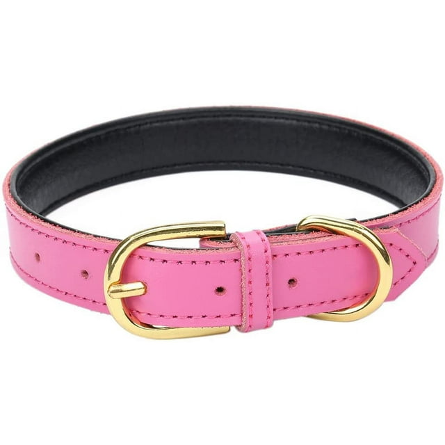 Basic Classic Padded Leather Pet Collars for Cats Puppy Small Medium Dogs
