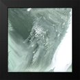 thumbnail image 2 of Studio W 12x12 Black Modern Framed Museum Art Print Titled - Moss Agate I, 2 of 5