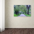 thumbnail image 3 of Trademark Fine Art "Cades Cove Lane" Canvas Art by Michael Blanchette Photography, 3 of 3