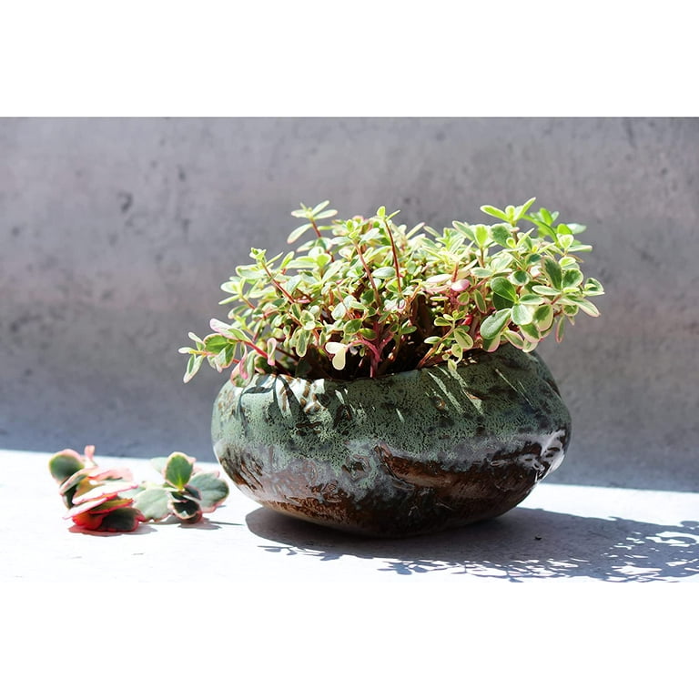 Premium Shallow Succulent Planter Pot, Ceramic with Decorative Patina  Glaze, Kitchen, Living Room, and Home Decor