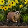 thumbnail image 5 of Design Toscano QM24625001 Bandit the Raccoon Animal Garden Patio Ornament Statue, 5 of 5