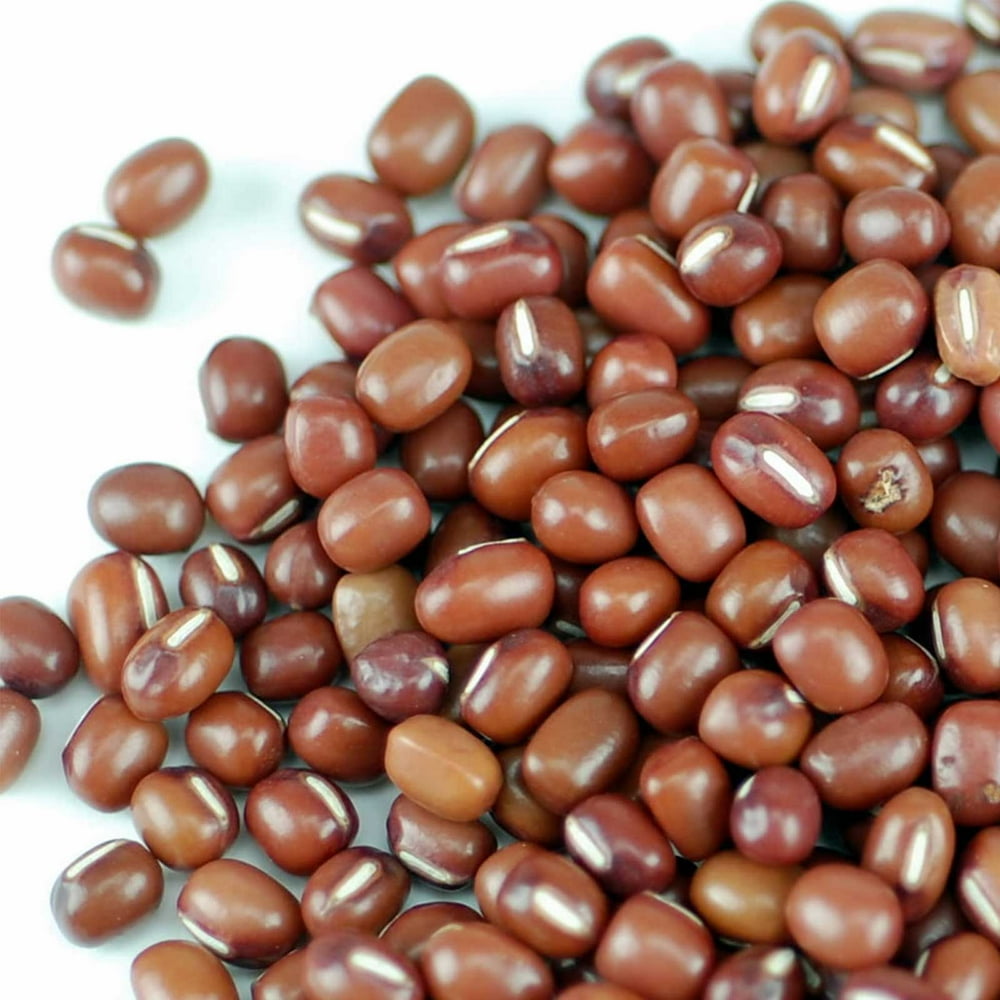 Adzuki Bean Sprouting Seeds 15 g Packet 125 Seeds Organic, NonGMO