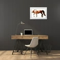 thumbnail image 3 of Hoffman, Kate 14x11 White Modern Wood Framed Museum Art Print Titled - Horse 10, 3 of 4