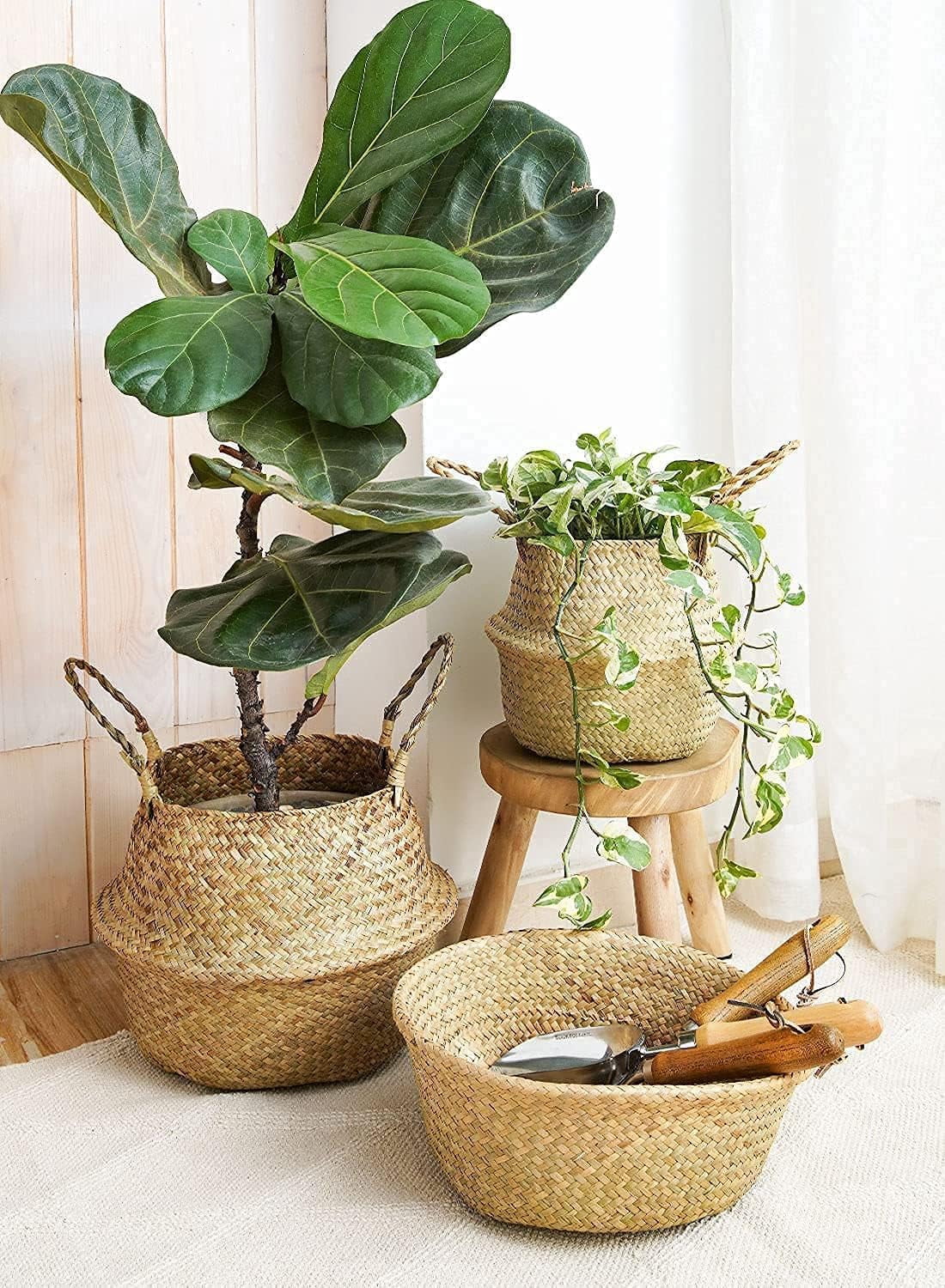 LE TAUCI Plant Basket, 7 Inch Original Woven Seagrass Belly Planter Basket