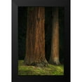 thumbnail image 2 of Geyman, Vitaly 17x24 Black Modern Framed Museum Art Print Titled - Ancient Forest II, 2 of 5