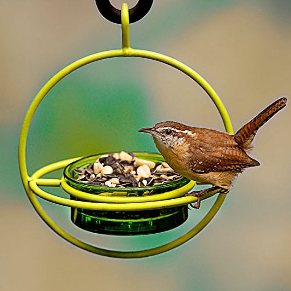 Mosaic Birds Hummble Bold Hanging Bird Feeder for Outdoors, Oriole, Finch Wild Bird Feeders - Lime Green