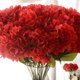 thumbnail image 4 of Cabezas Hortensia Hermosa Flor Artificial Ramo Ramo Decoración de Boda en Casa (Rojo) Xemadio SNFLD1701, 4 of 9
