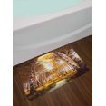 thumbnail image 2 of Tree Bath Mat, Autumn Season Forest in Sun Rays near the River in Morning Idyllic View Print, Non-Slip Plush Mat Bathroom Kitchen Laundry Room Decor, 29.5 X 17.5 Inches, Yellow Brown White, Ambesonne, 2 of 2