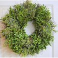 thumbnail image 2 of Pack of 1, Fresh Juniper/Boxwood Holiday Wreath for Holiday, Home, Wedding and Seasonal Décor, 2 of 2
