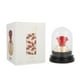 thumbnail image 1 of Lattafa Lahdath 80Ml Edp Spray Lattafa Lattafa, 1 of 3