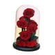 thumbnail image 2 of Rosa en cúpula de cristal, decoración de San Valentín, flor eterna en cúpula de cristal. Estilo C, 2 of 9