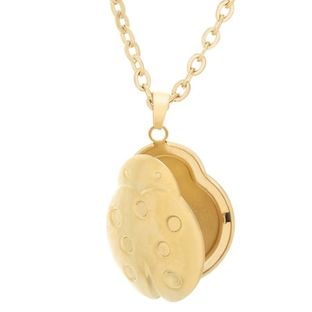 locket ladybug