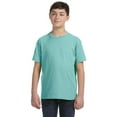 thumbnail image 2 of Aquaguard 100% Cotton Boys t-Shirts Crew Neck Short Sleeve Kids Toddler Tee - XS - Chill, 2 of 7