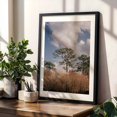thumbnail image 4 of Longleaf Pine - Ocala Florida Photography Nature Landscape Forest Scenic Woods Woodland Black Framed Wall Art Print 5 x 7 inches, 4 of 8