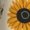 Black, variant on Sunflowers And Bee Men's Straight Lounge Pajama Pants: The Ultimate in Comfortable Sleepwear
