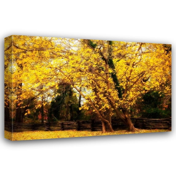 Alan Hausenflock 32x23 Gallery Wrapped Canvas Wall Art Titled - Split Rail Fence III