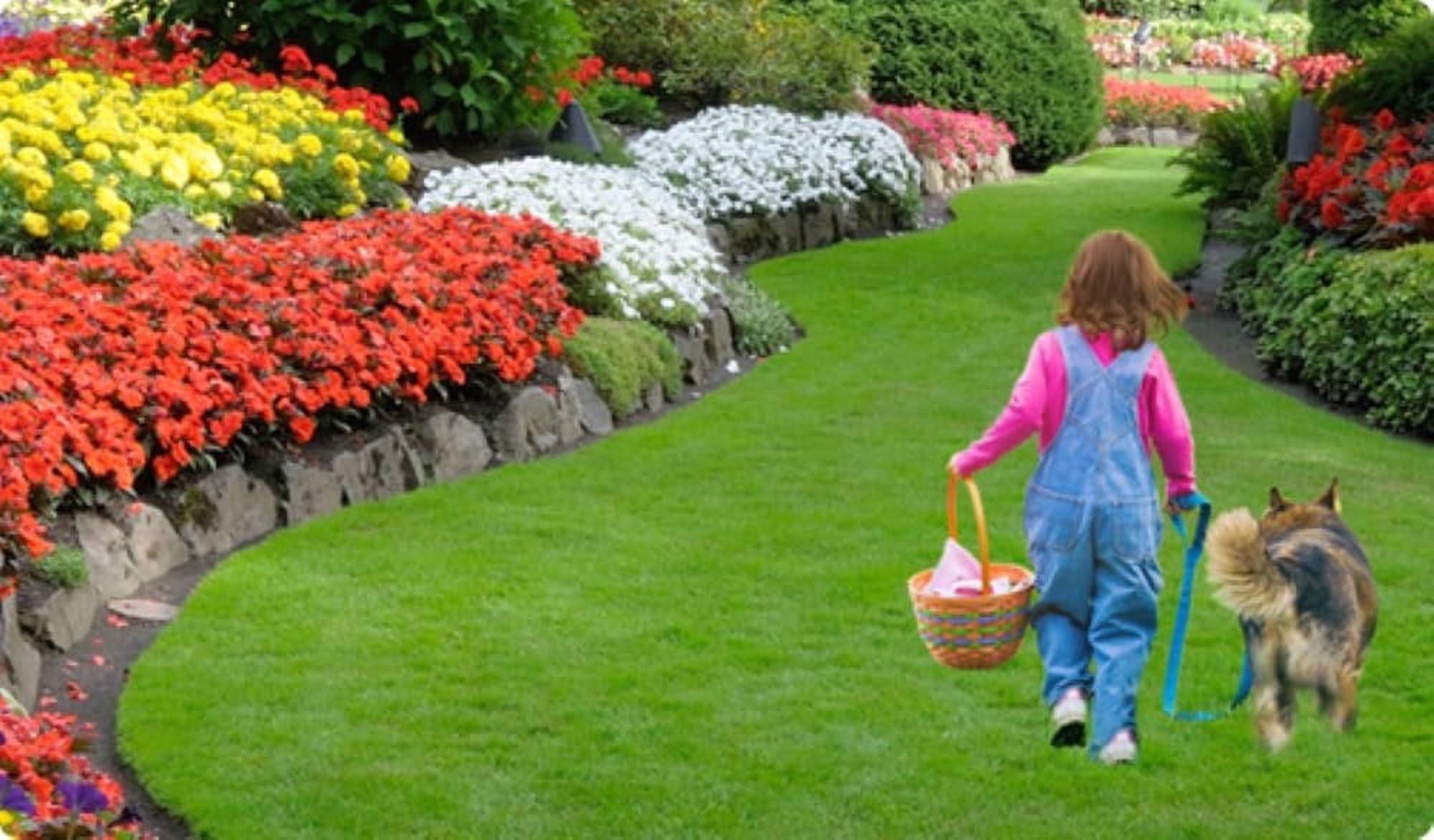 Espoma Turf-Tone Lawn Fertilizer and Weed Preventer - Natural Granules - 25 lbs — Outdoor & Indoor Plant Use, Easy Application