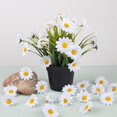 thumbnail image 4 of 100 piezas flores artificiales de margaritas de Gerbera blancas JM, 4 of 5