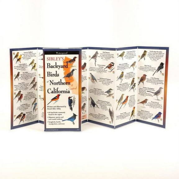 FoldingGuides: Sibley's Back. Birds of Northern California (Other)