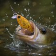 thumbnail image 5 of MInHoues Floating Body Crankbait, 1.77" Hard Fishing Lure for Bass and Trout, Realistic Artificial Swimbait with Spotted Pattern, Freshwater Saltwater Tackle Accessories, 5 of 5