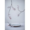 thumbnail image 2 of Karpova, Inna 17x24 White Modern Wood Framed Museum Art Print Titled - The First Cherry Blossom, 2 of 4