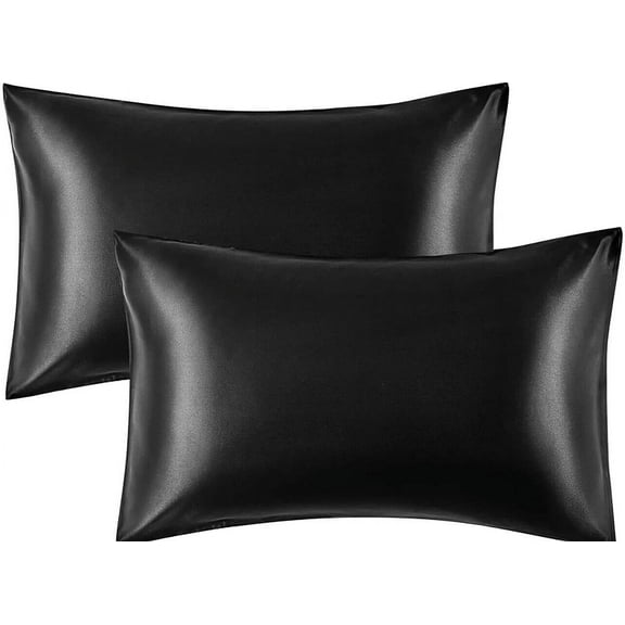 Satin Pillowcase (2 Pack) for Hair Skin Silk Pillow Case, Queen Size(20x30 inch)