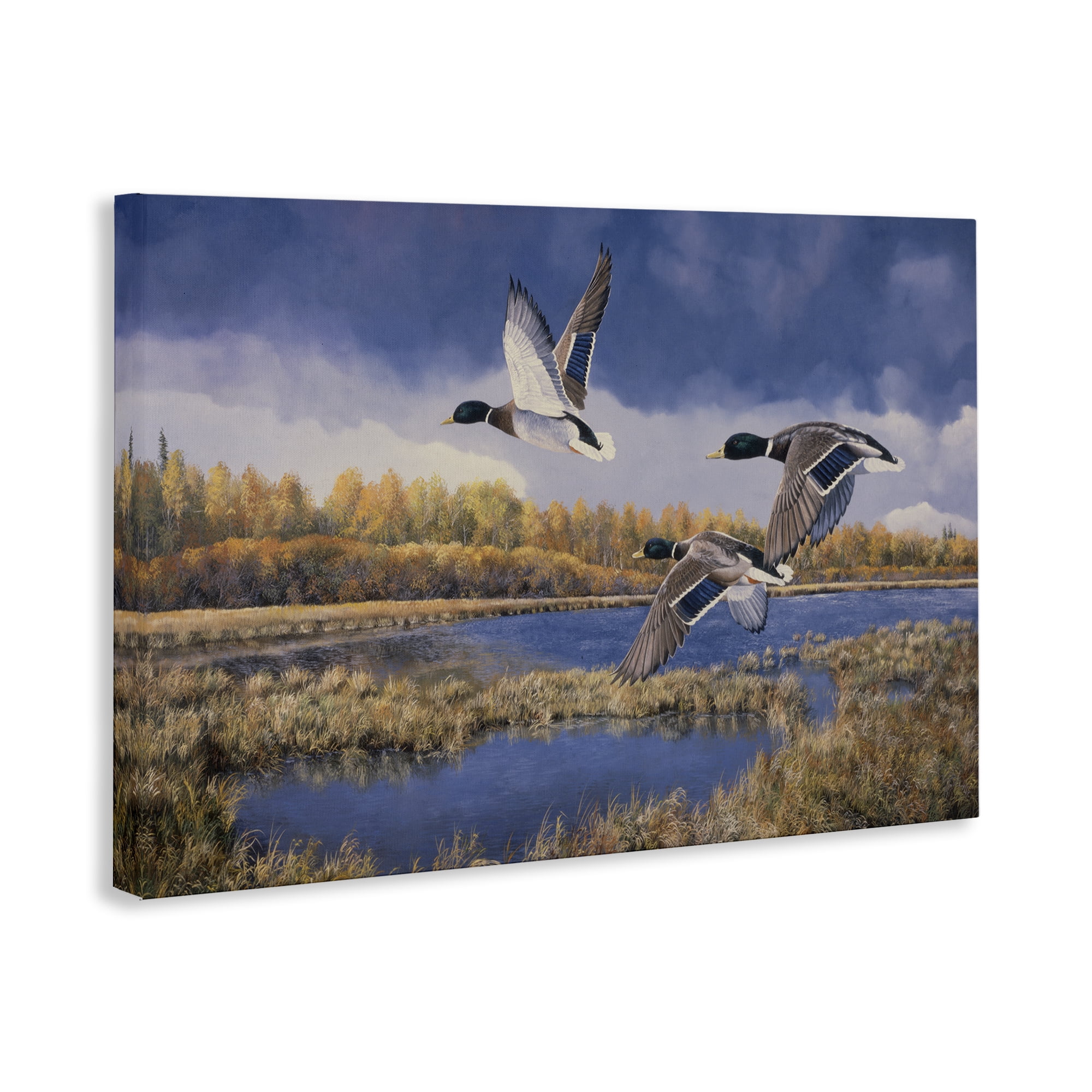 Stupell Industries Ducks Heading South Landscape & Nature Painting Wrapped Canvas Art Print Wall Art, 24 x 16
