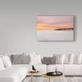thumbnail image 3 of Trademark Fine Art 'Milky Mussel Shoals' Canvas Art by Chris Moyer, 3 of 3